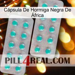 Cápsula De Hormiga Negra De África 29